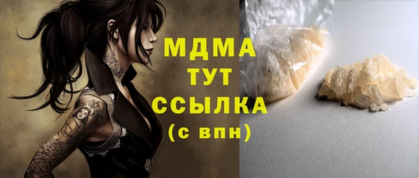 спиды Ельня