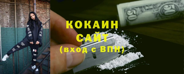шишки Елизово