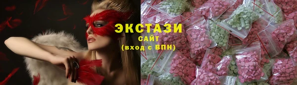 спиды Ельня