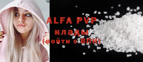 шишки Елизово