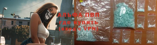 спиды Ельня