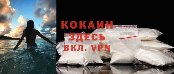 шишки Елизово