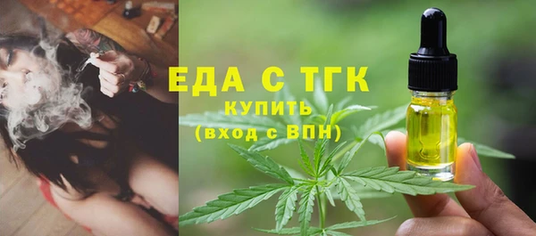 шишки Елизово