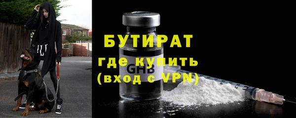 шишки Елизово