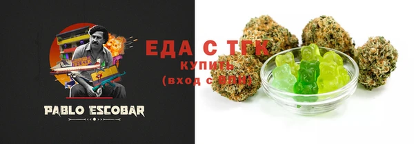 спиды Ельня