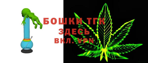 спиды Ельня