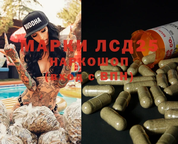 спиды Ельня
