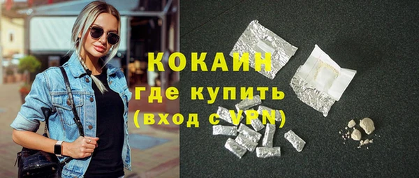 спиды Ельня