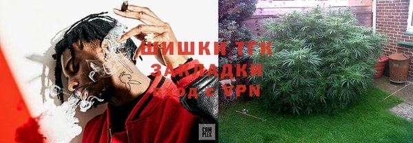 спиды Ельня