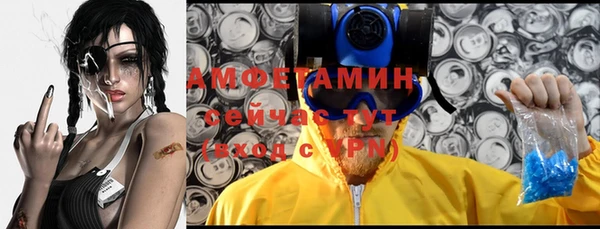 шишки Елизово