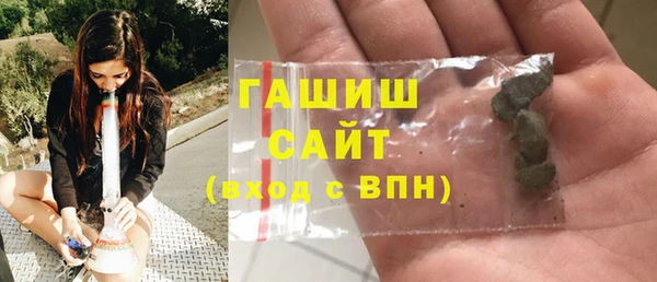 спиды Ельня