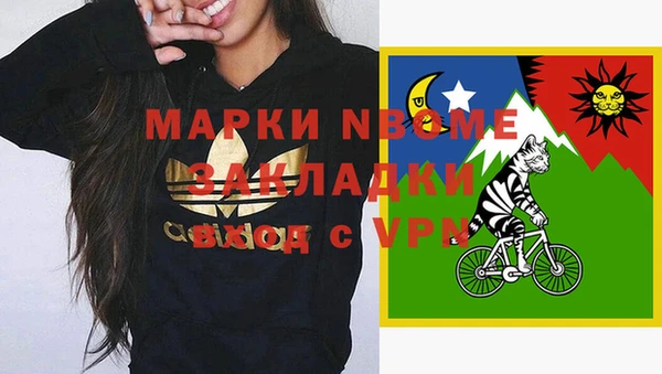 спиды Ельня