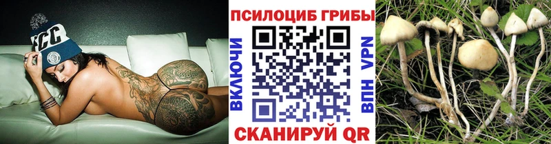 Псилоцибиновые грибы Psilocybe  Купить где  Приморско-Ахтарск 